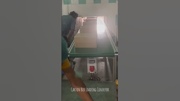 Carton Box Loading Conveyor