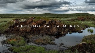 Melting Palsa Mires