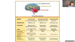 Секреты нашего мозга