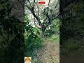 roadtrip #shorts #viral #roadtrip #travel #song #trending