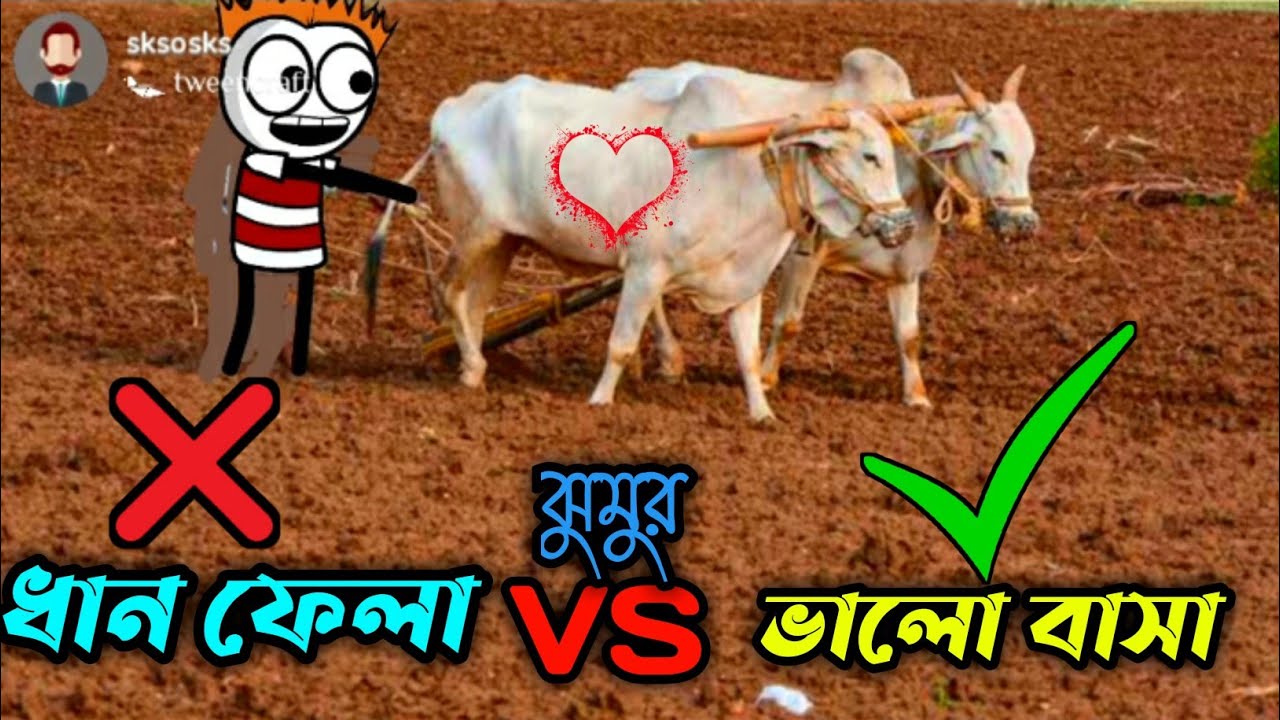 চাষ করা VS ভালোবাসা 😂😂//Bangla Cartoon Videos Purulia//Purulia Paglami Comedy Video 2021