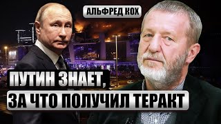 💥КОХ: Россиянам ОТОМСТИЛИ ЗА СИРИЮ! Путин скрывает поражение. Вот почему теракт списывают на Украину