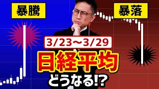 【3/23～3/29】日経平均は暴騰？暴落？どうなる！？/ タケシ弁護士