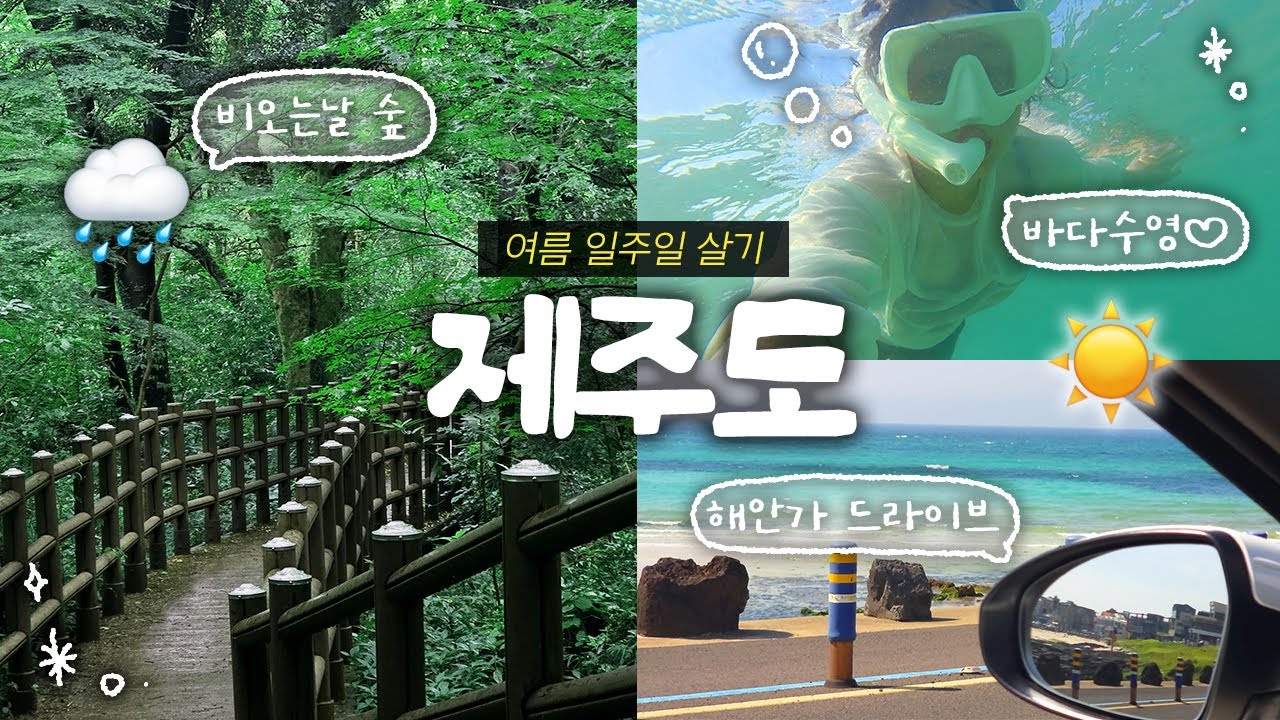 비오는 제주도 숲, 해쨍쨍 바다  🌧️☀️ 두가지맛 제주도 즐기기 | 고기국수, 성산일출봉, 비자림, 흑돼지맛집, 해안드라이브코스, 스노쿨링 | 제주도 여행 vlog ep.1