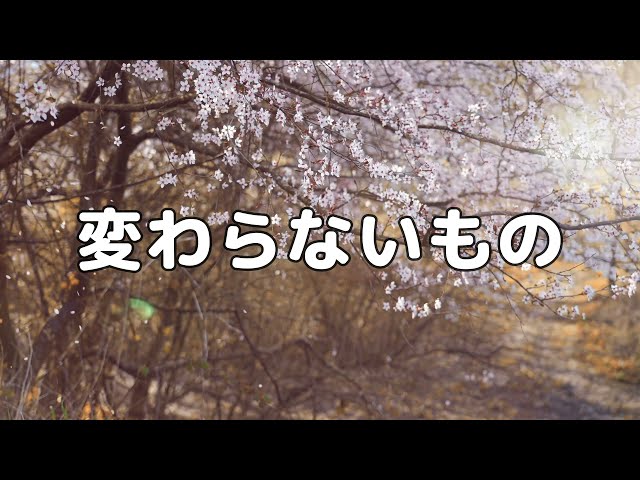 変わらないもの山崎朋子