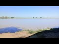 pescando reinas escamas  está en vivo