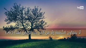 أفرأيت الذي كفر بآياتنا    تلاوة عطرة 🎧😴، ريان المحيسني