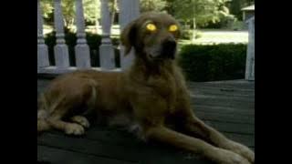 Goosebumps Intro Theme Song - DVD Quality