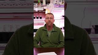 Famous Rule #1: Start Small & Simple (10 Rules for a Successful First Garden) Wealth