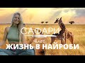 ВЛОГ САФАРИ В КЕНИИ | АФРИКА | СКОЛЬКО СТОИТ САФАРИ В НАЙРОБИ | влог Диана Лаврентьева