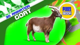 Green Screen Goat Real Fur 3D Animation Animals PixelBoom