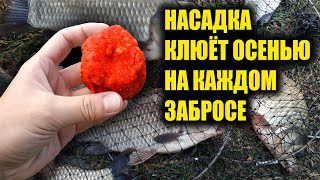 Всегда клюёт рыба на эту насадку в октябре и ноябре и даже со льда!