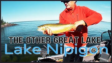 Lake Nipigon Brook Trout