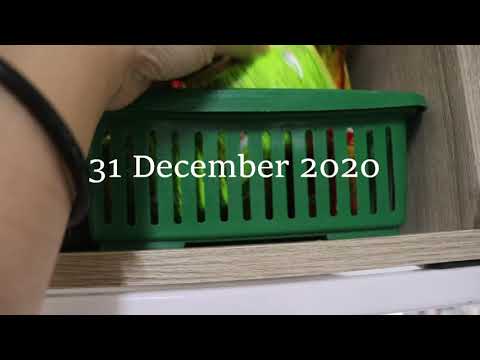 The last day of 2020