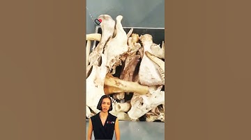 #fcnfm Self-Feeding Mechanism Simplifies Material Processing and Increases Productivity