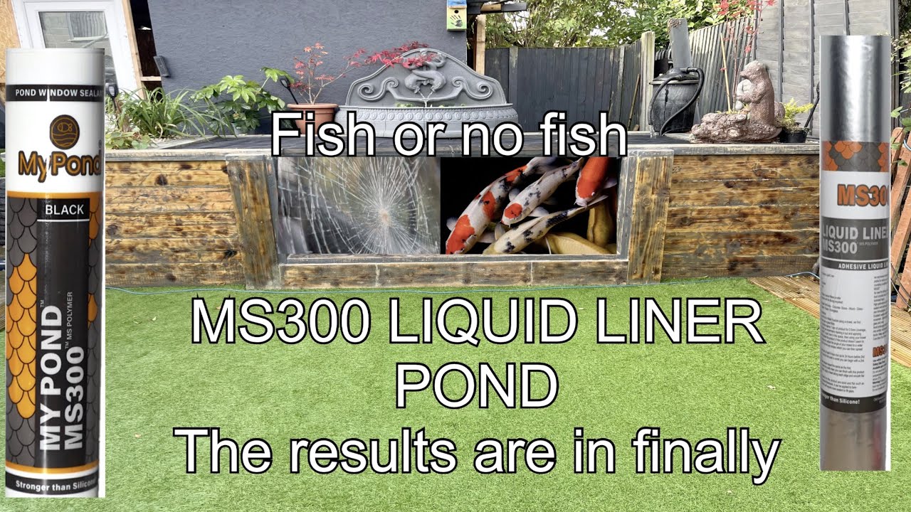 POND LIQUID LINER MS300 THE RESULTS ARE IN DOES IT ACTUALLY WORK ? 