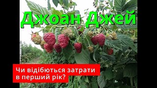 картинка: Джоан джей. Перший рік. Сезон відкрито