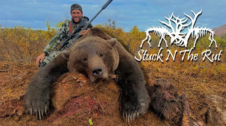 THIS BEAR WAS EATING MY MOOSE!!! Alaskan Brown Bear Hunt - Stuck N The Rut 217