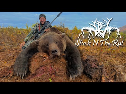 THIS BEAR WAS EATING MY MOOSE!!! Alaskan Brown Bear Hunt - Stuck N The Rut 217