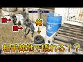 【Prop hunt】『作戦失敗!?』相手のスタートと地点に隠れてたら敵が離れなくて怖すぎた!