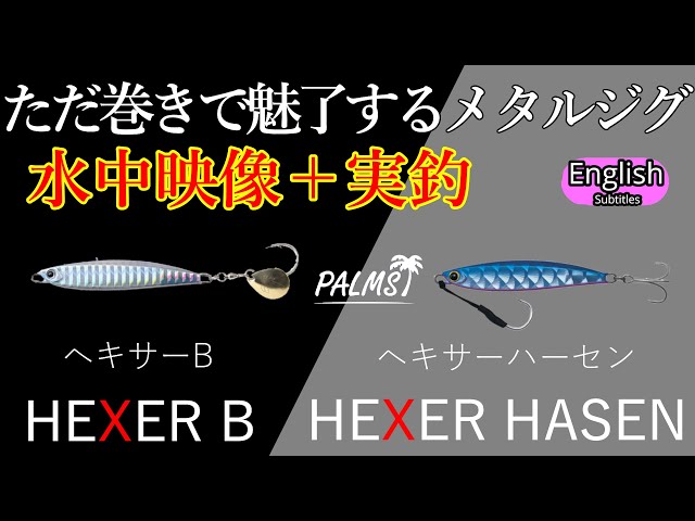 PALMS HEXER B HEXER HASEN Underwater footage and Test