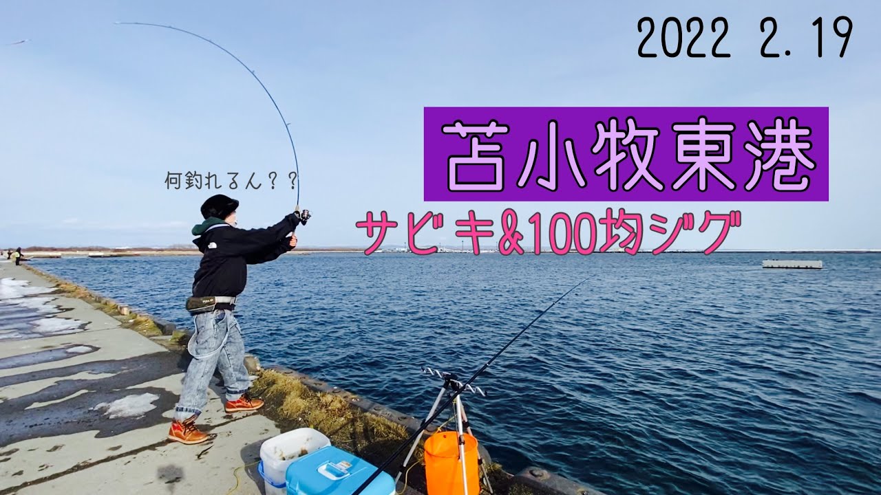 終了しました 釣り用品 自動シャクリ機と苫小牧西港向き長い釣竿「磯