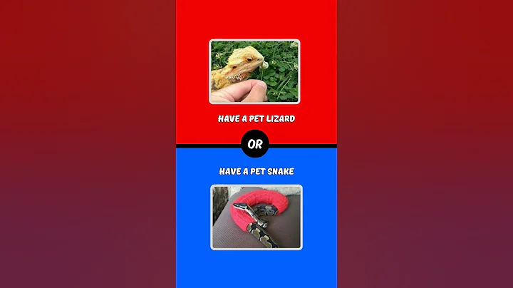 would you rather #shorts #youtubeshorts #red #blue #trivia