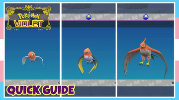 How To Evolve Fletchling Into Fletchinder Into Talonflame In Pokemon Scarlet & Violet | Quick Guide