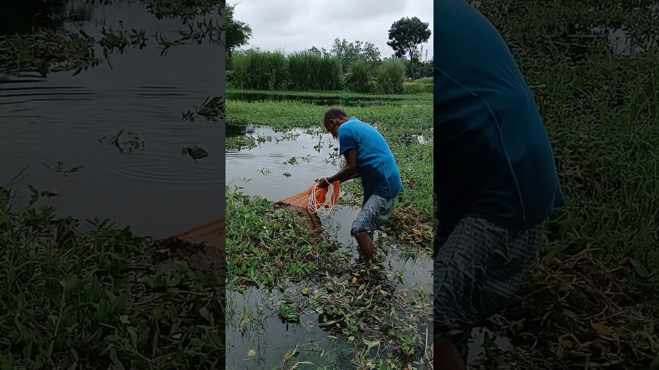 Amazing Village River Fishing Video