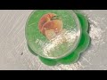 Satisfying Jelly Press 😍 | ASMR Soft & Squishy