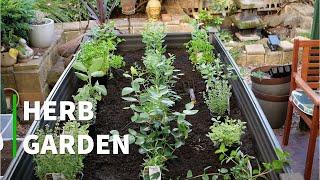 Planting our Herb Garden Bed by Gavin and Kim 1,990 views 3 years ago 20 minutes