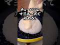 油いらずのパラパラ炒飯に震えろ「マヨネーズ炒飯」 詳しいレシピは概要欄をチェック！#簡単レシピ