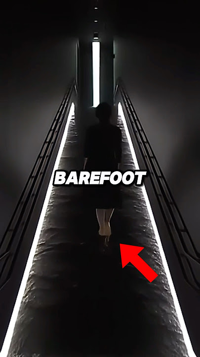 Digital Art Museum in Japan 💡 🖼️