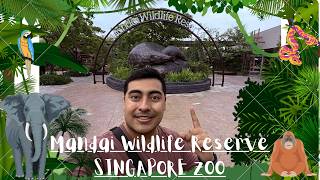Exploring the Singapore Zoo!!! | 2026