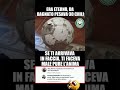 #risate#memes#humor