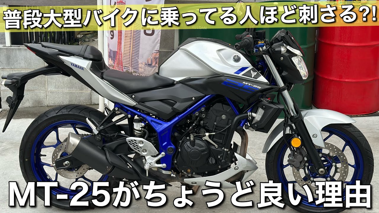 【MT-25】雑談しながら紹介してヤフオクに出品します