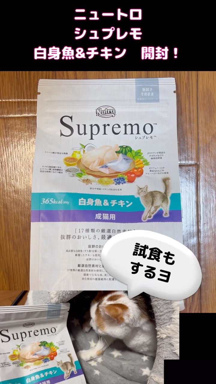 シュプレモ 白身魚＆チキン ニュートロ シュプレモ 成猫用 白身魚＆チキン