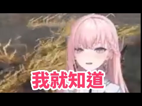 我就知道！！！【涅默Nemesis 】