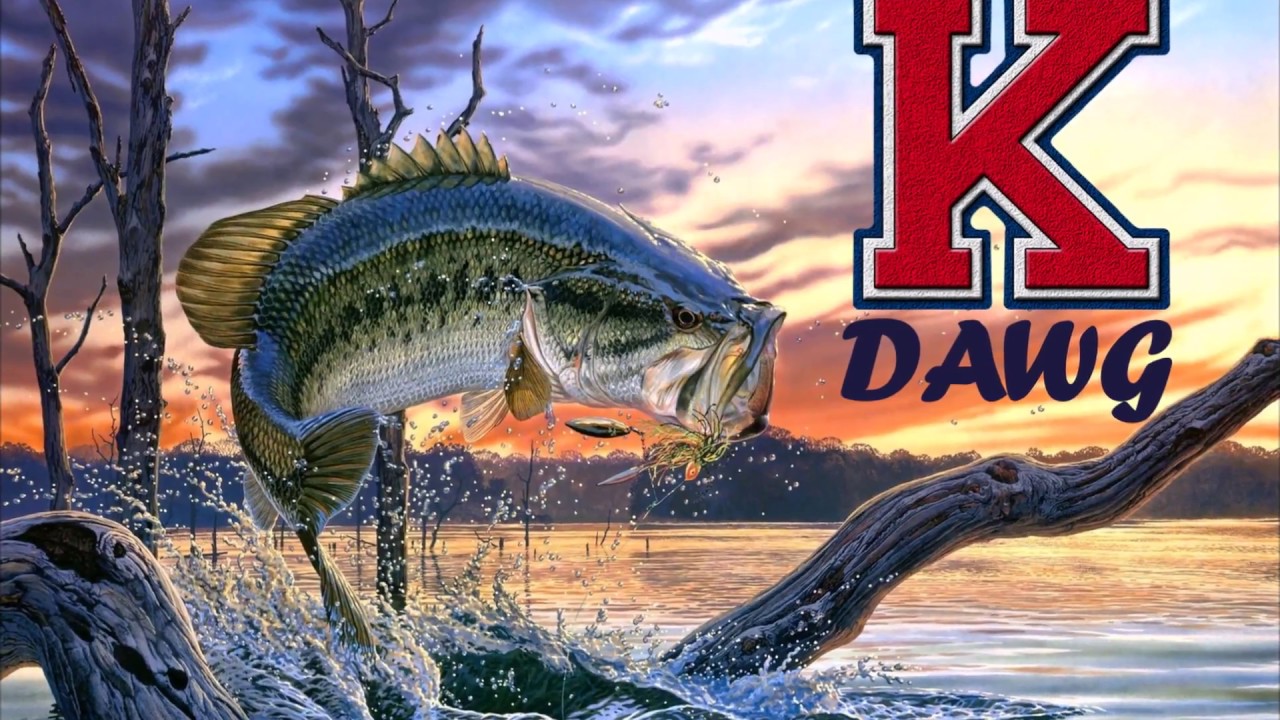 Bass Fishing in Cypress, Texas