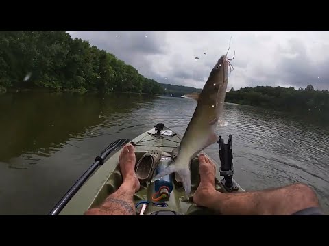 Kayak Fishing with the Lifetime Tamarack | Relaxing Day on the Water 🎣🚣‍♂️