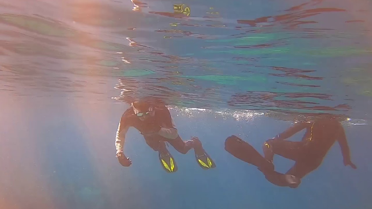 Snorkeling in Okinawa YouTube