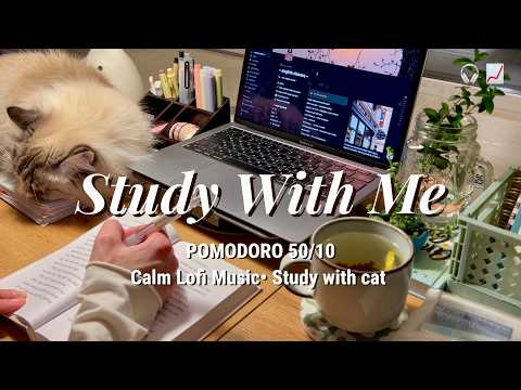 study with me 3 hr | calm lofi music, cat companion & timer thumbnail