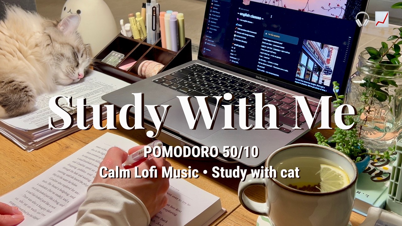 3-HR STUDY WITH ME | calm lofi bgm 🎧 pomodoro 50/10 music for study