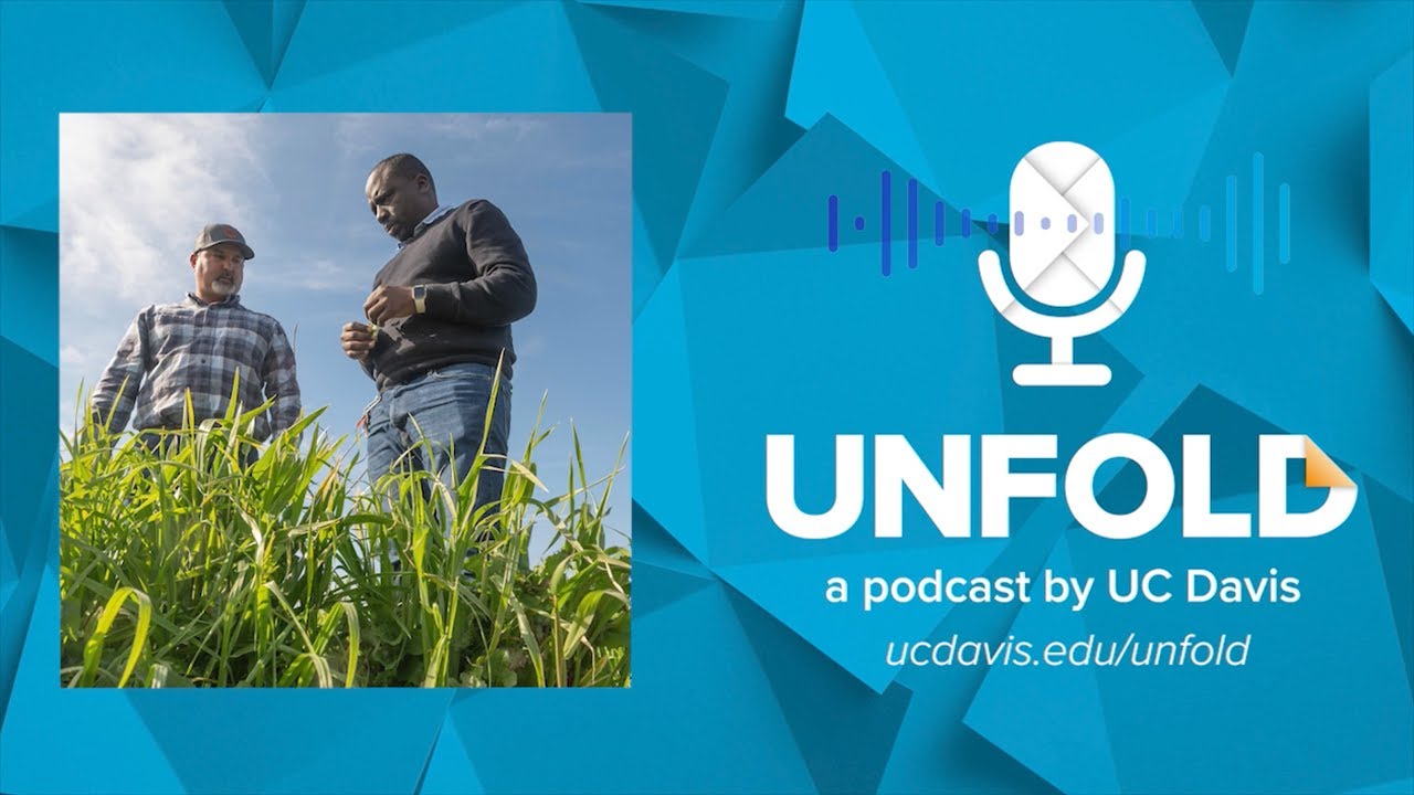 The Water We Eat: Tackling the Groundwater Dilemma | Unfold Podcast