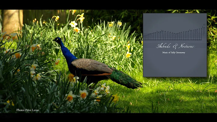 Greenaway:  Stay Awhile (Aubade & Nocturne)