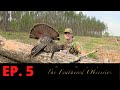CLEAR CUT GOBBLER BITES THE DUST! | Spring Alabama Turkey Hunting