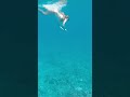she's trying to learn how to dive down
