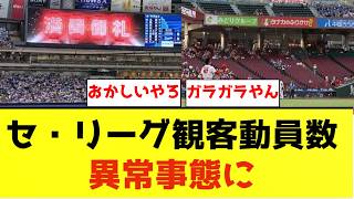 【悲報】　セ・リーグ前半戦観客動員数ヤバいことになってる　【5ch反応】　【なんj反応集】　#プロ野球 　#セ・リーグ
