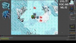 Tibia Hunting Guide - Nibelor Crystal Spiders [60+ Mage]