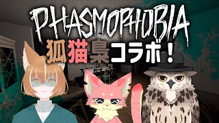 【ファズモフォビア】狐と猫と梟で高速チャレンジ！👻【コラボ】